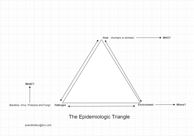 the-epidemiologic-triangle.jpg